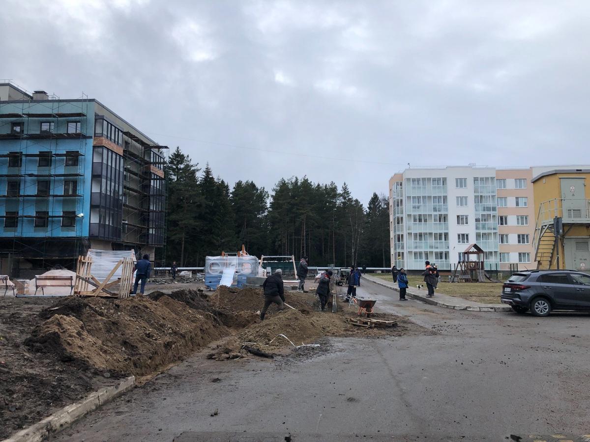 Новостройки в Усть-Луге. Фото автора