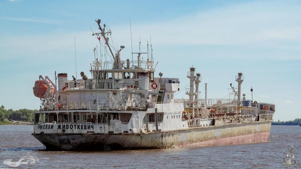 Однокорпусный танкер «Николай Животкевич» возрастом почти полвека, получивший разрешение на проход по СМП в 2025 году. Источник: fleetphoto.ru