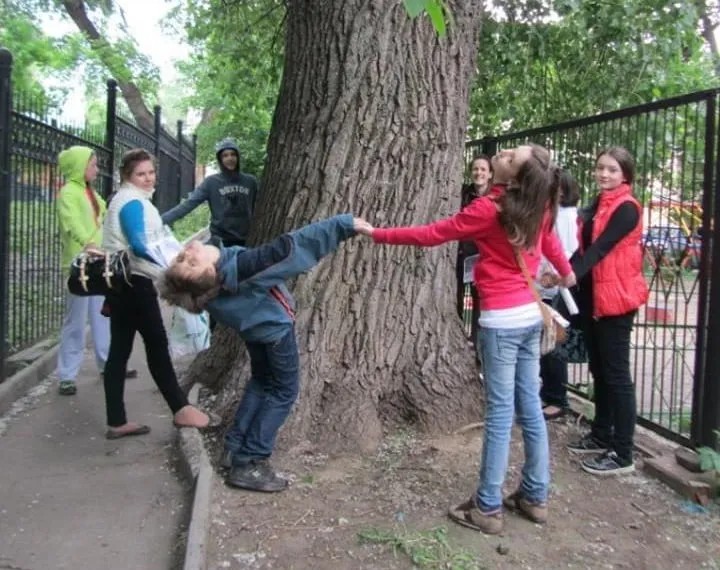 Парк в старом районе Москвы, которому грозит варварская вырубка, сохраняется, как минимум, с 1802 года. Фото предоставлено инициативной группой москвичей