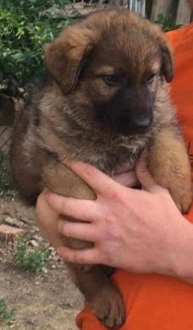 Лея в 2020 году. Фото: из личного архива