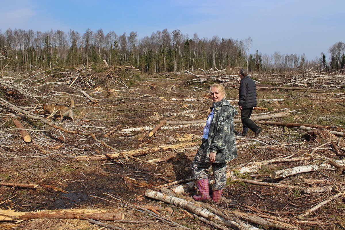 Анжела и Петр на месте вырубки леса. Фото: Елизавета Кирпанова / «Новая газета»