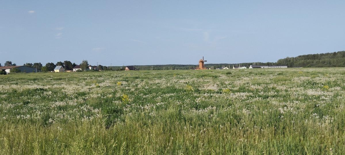 Поля под Сысертью. Фото: Никита Телиженко / «Новая газета»