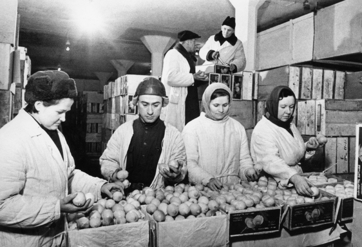 Подготовка к продаже мандаринов и лимонов. Фото: Леонид Доренский/Фотохроника ТАСС