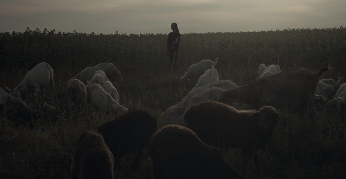 Кадр из фильма «Счаст»