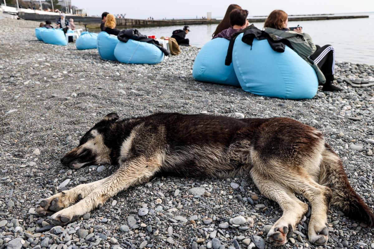 Фото: Дмитрий Феоктистов / ТАСС