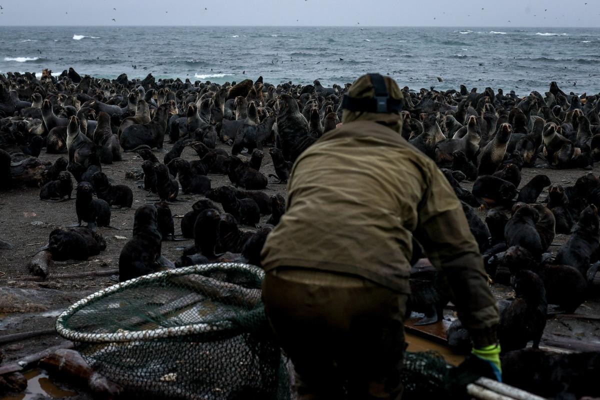 Фото: Юрий Смитюк / ТАСС