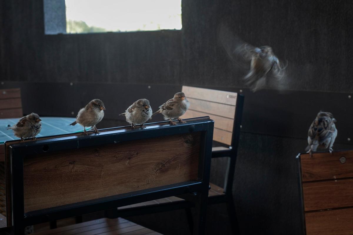 Фото: Алексей Душутин / «Новая газета»