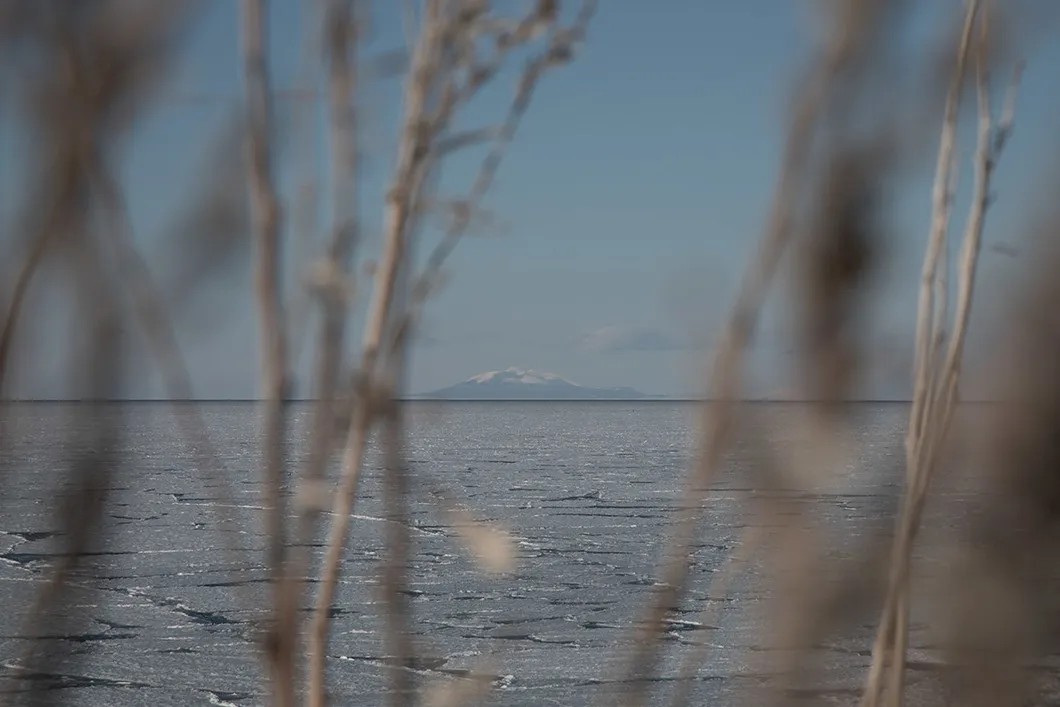 Вид на Кунашир с мыса Носаппу. Фото: Анна Артемьева / «Новая»