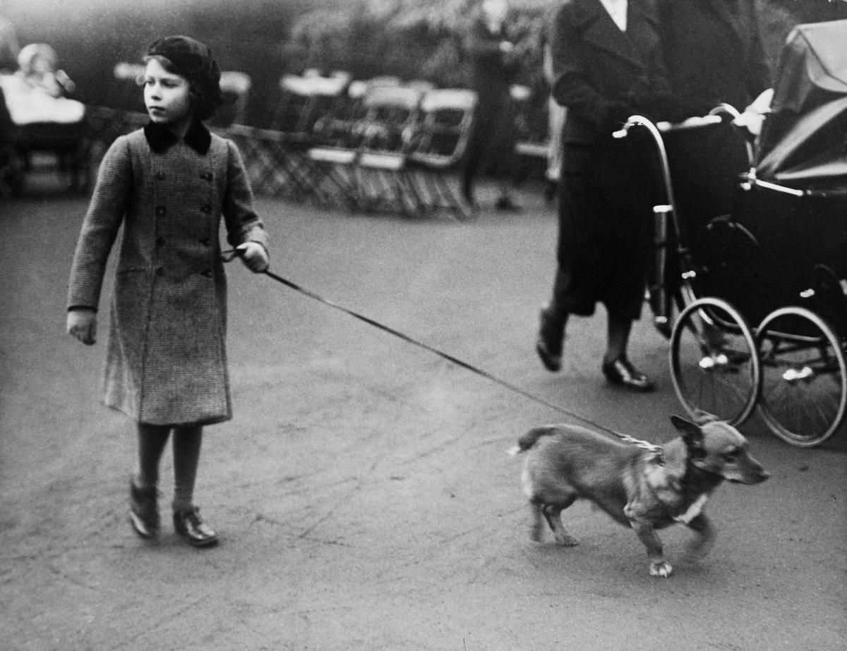 Елизавета гуляет с одним из своих корги. 1940 год. Фото: Hulton-Deutsch/Hulton-Deutsch Collection/Corbis via Getty Images