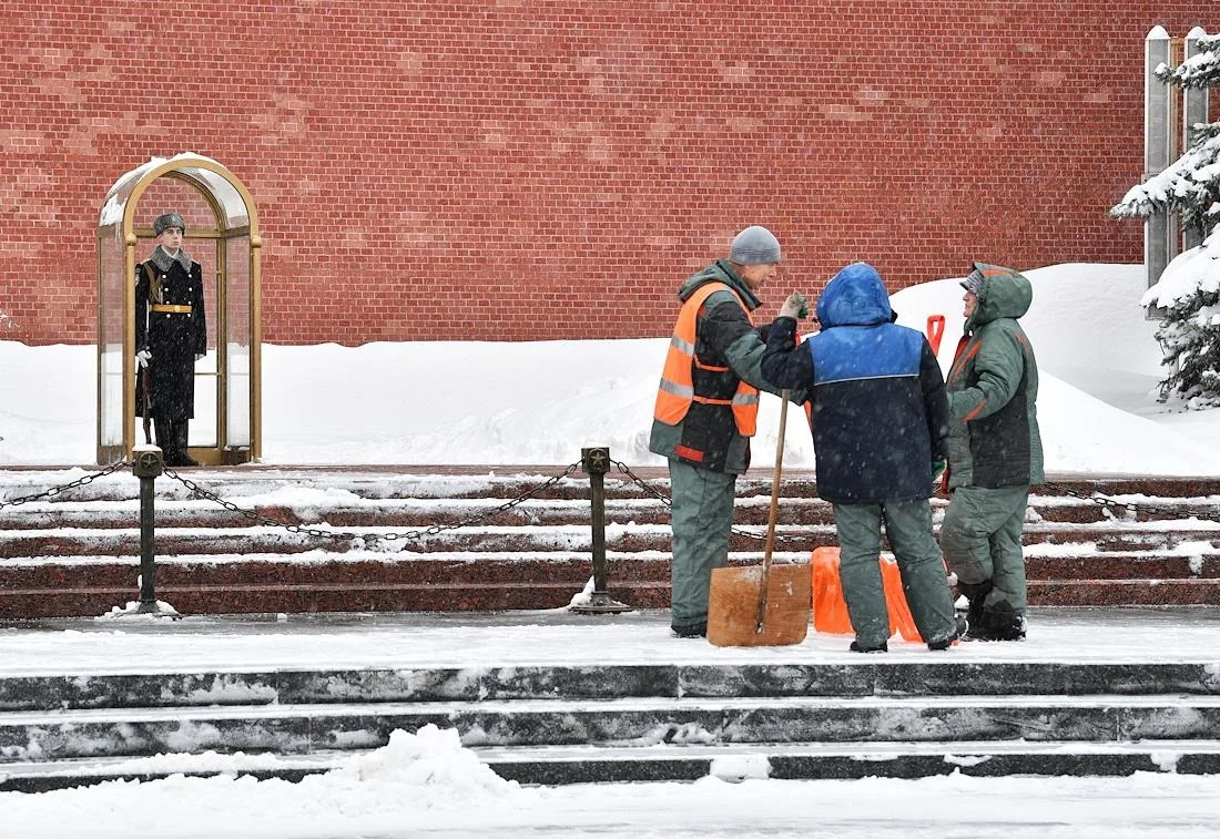 Парни пьют, к девкам пристают. А я их ненавижу всех». Участники СВО  возвращаются в мирную жизнь, безуспешно пытаются найти работу и борются с  желанием вернуться обратно — Новая газета