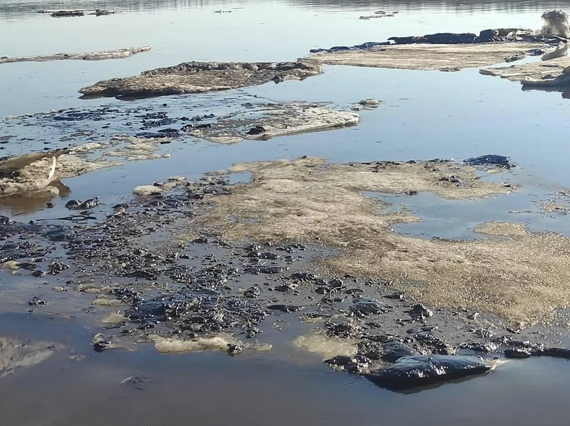 Oil spill in the Usa river. Photo: TASS