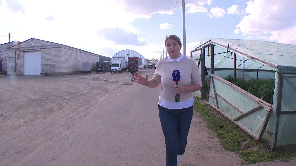Репортер «Вестей» в Воронежской области. Фото: «Вести Воронеж»