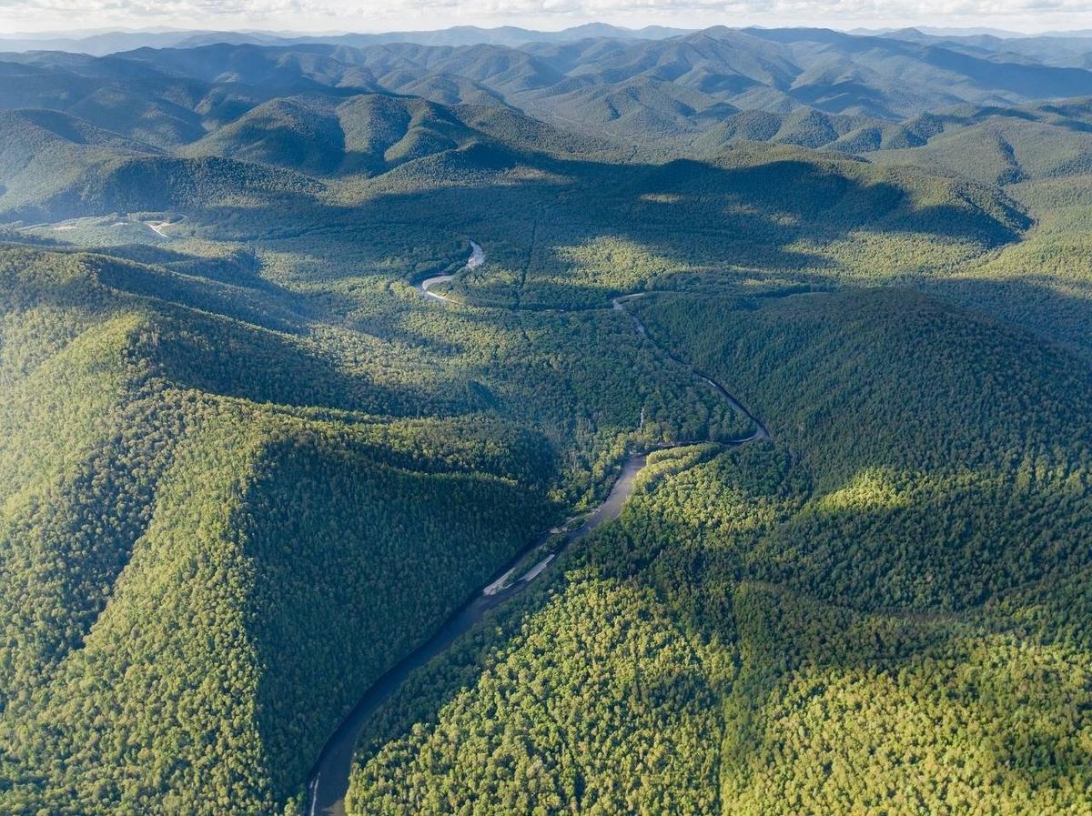 Национальный парк «Удэгейская легенда». Фото: тг-канал парка