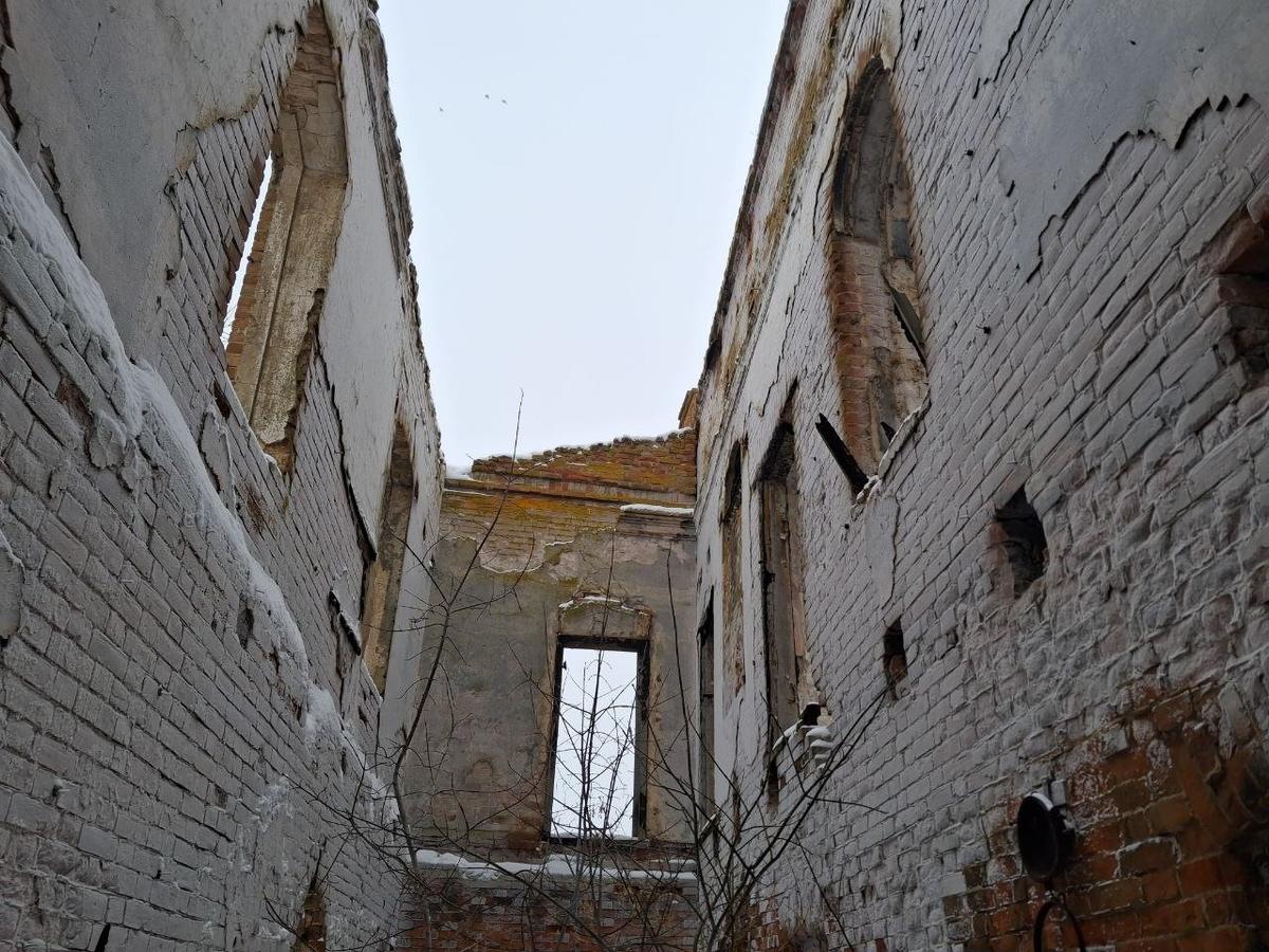 Фото: Игорь Стрельцов