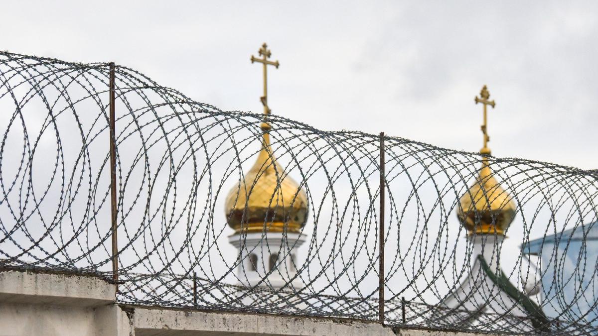 То ли амнистия по контракту, то ли контракт по амнистии