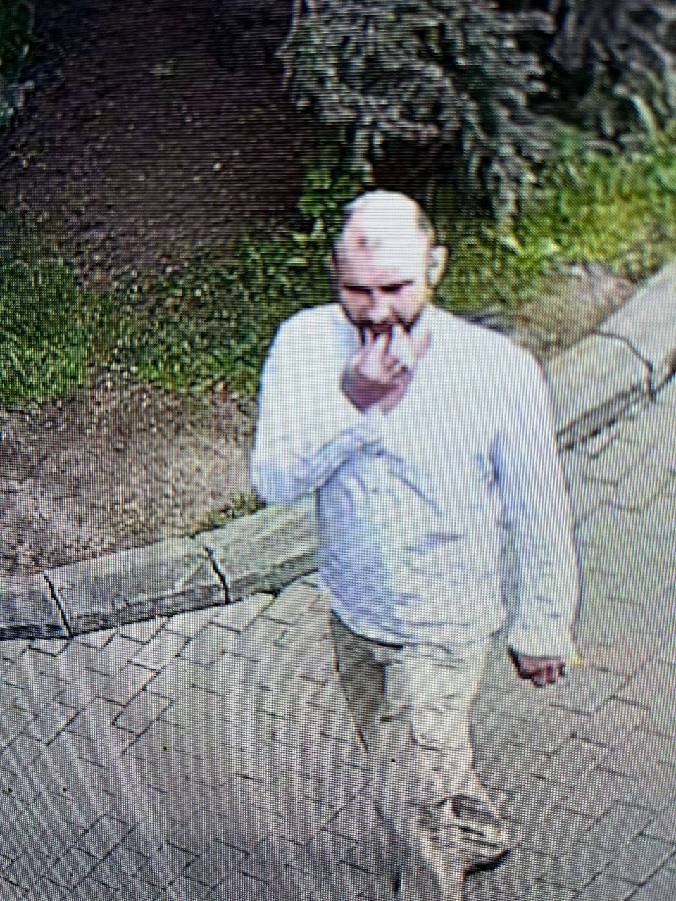 Злоумышленник, подбрасывавший таблетки «с валерианкой» в вольеры к кошачьим. Кадр с камер видеонаблюдения