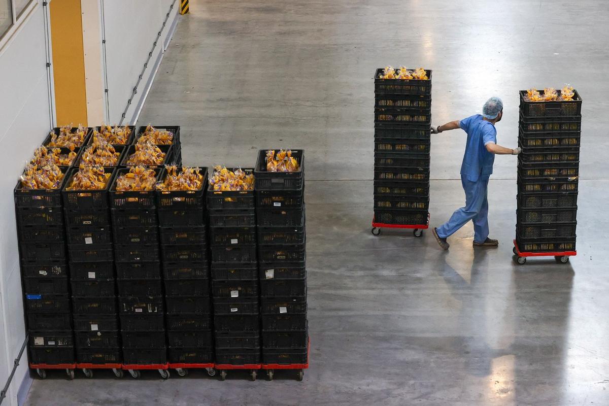 Фото: Донат Сорокин / ТАСС