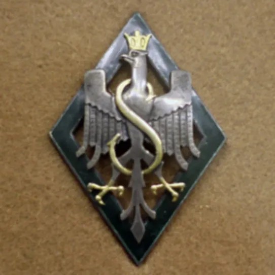 Эмблема 5-й польской стрелковой дивизии