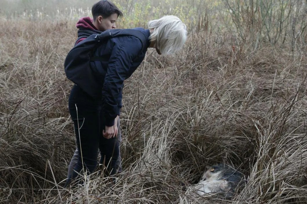 Обойдя «Круглое озеро», зоозащитники обнаружили в болоте труп собаки, совсем свежий. Фото: Светлана Виданова / «Новая газета»