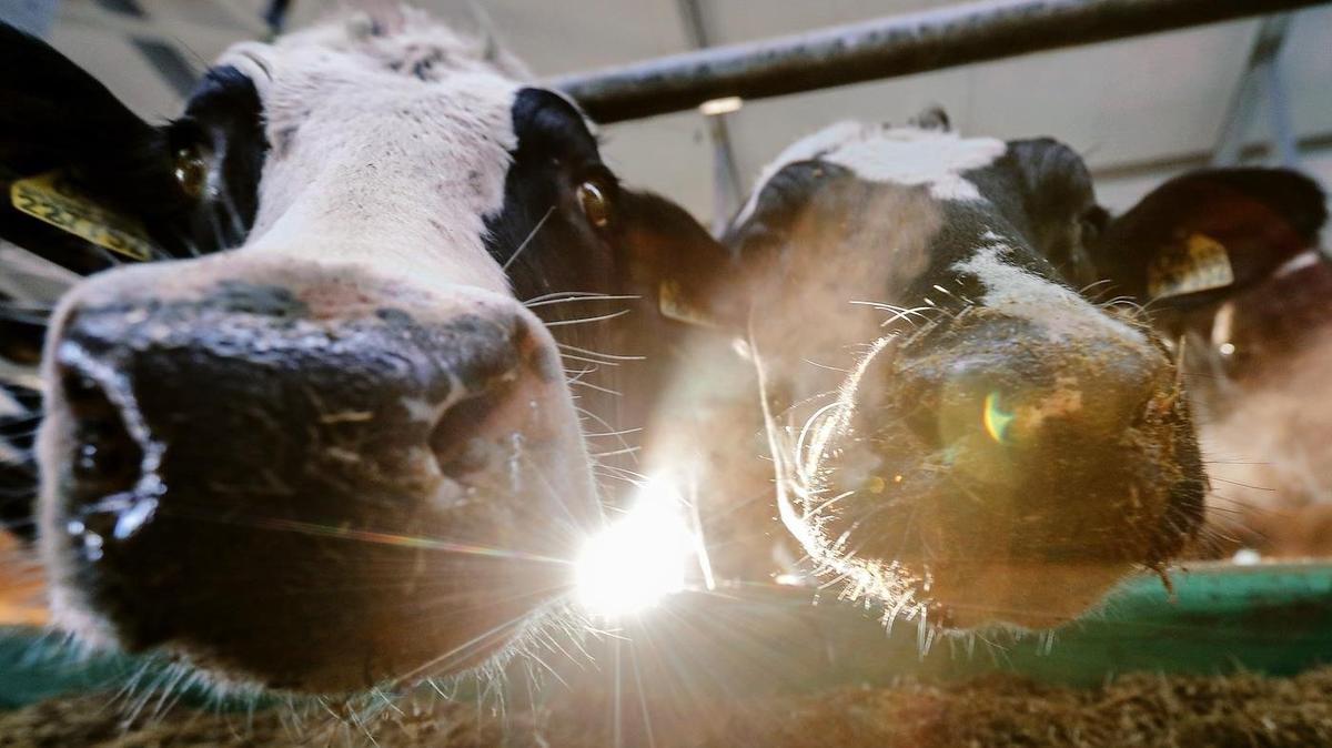 Мороприятия