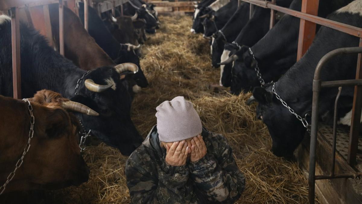 «Нельзя просто взять и наших кормилиц усыпить»