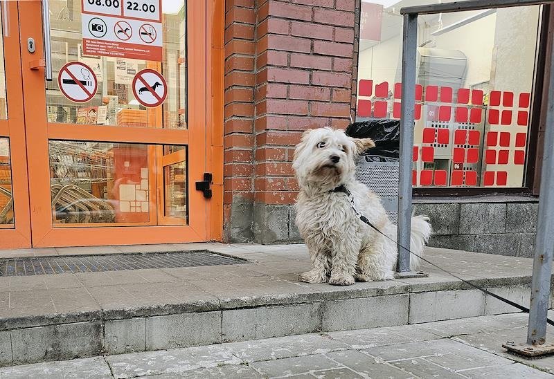 Фото: Елена Вах / Коммерсантъ