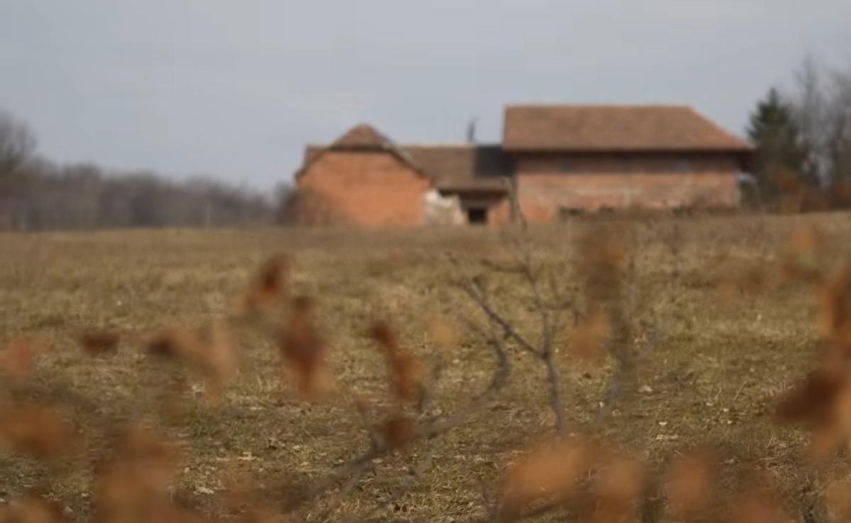 Скриншот с видео