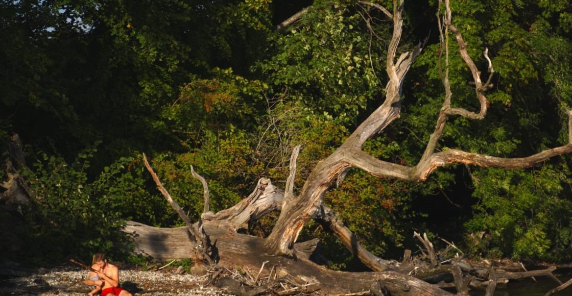 Кадр из фильма «Озеро»