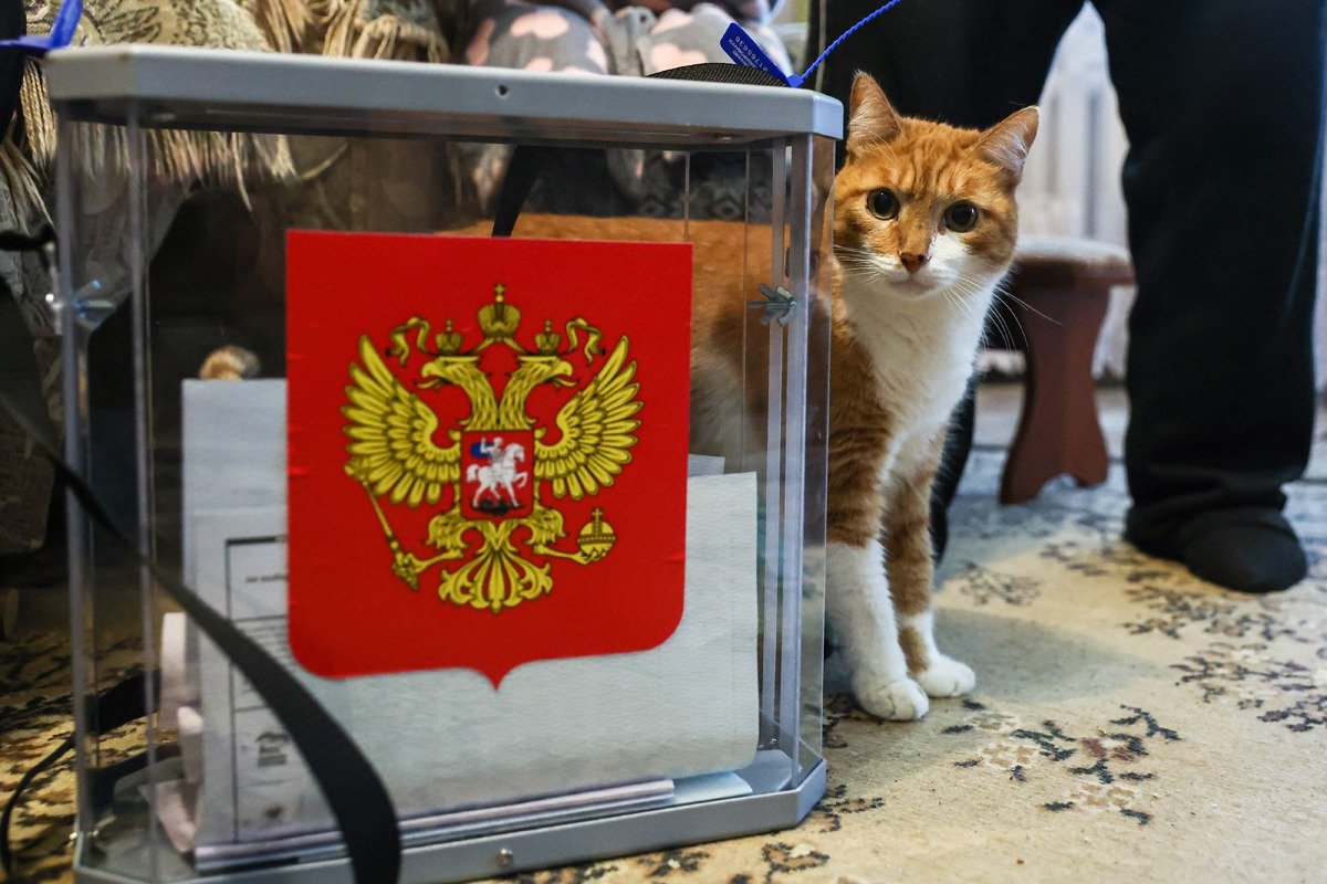 Фото: Донат Сорокин / ТАСС