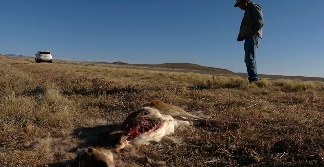 Кадр из фильма «Новое начало»