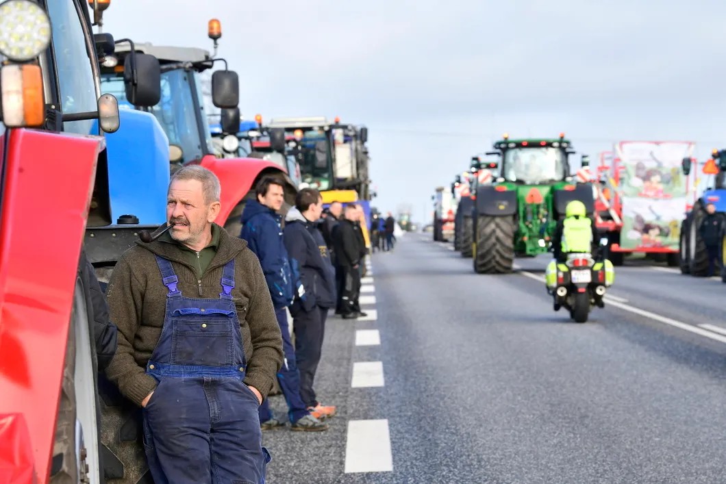 Фермеры Северной Ютландии 6 ноября вышли на протест после решения властей уничтожить всех норок из-за вспышки коронавируса. Фото: EPA