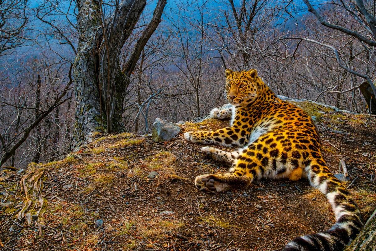 Фото: Юрий Смитюк / ТАСС