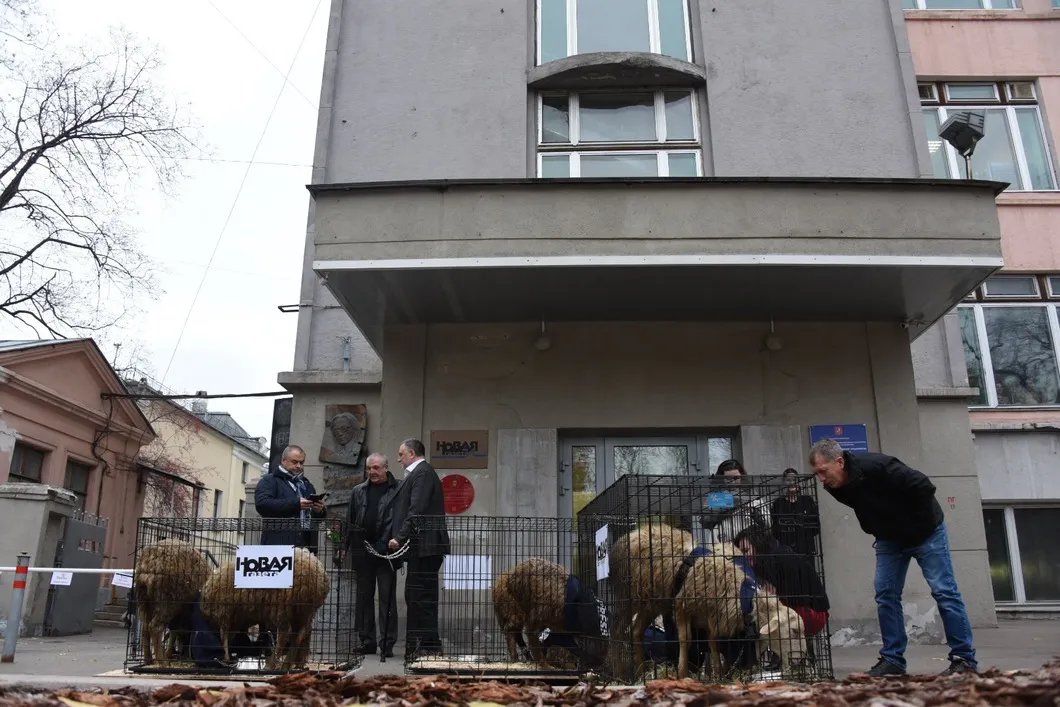 Фото: Виктория Одиссонова/ «Новая газета»