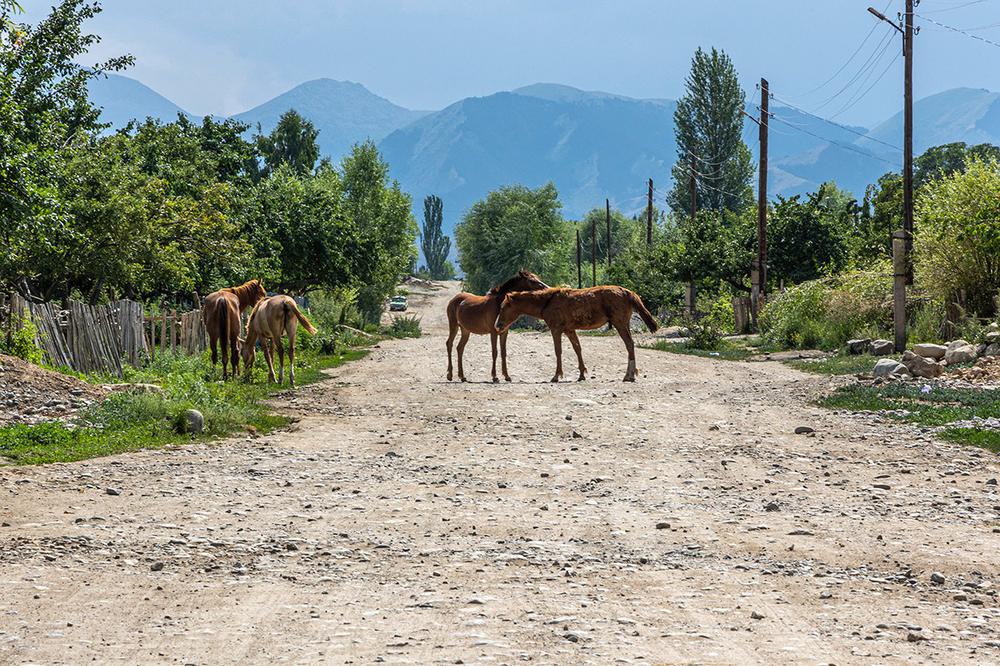 Село Барскоон в Кыргызстане. Фото: Арден Аркман / «Новая газета»