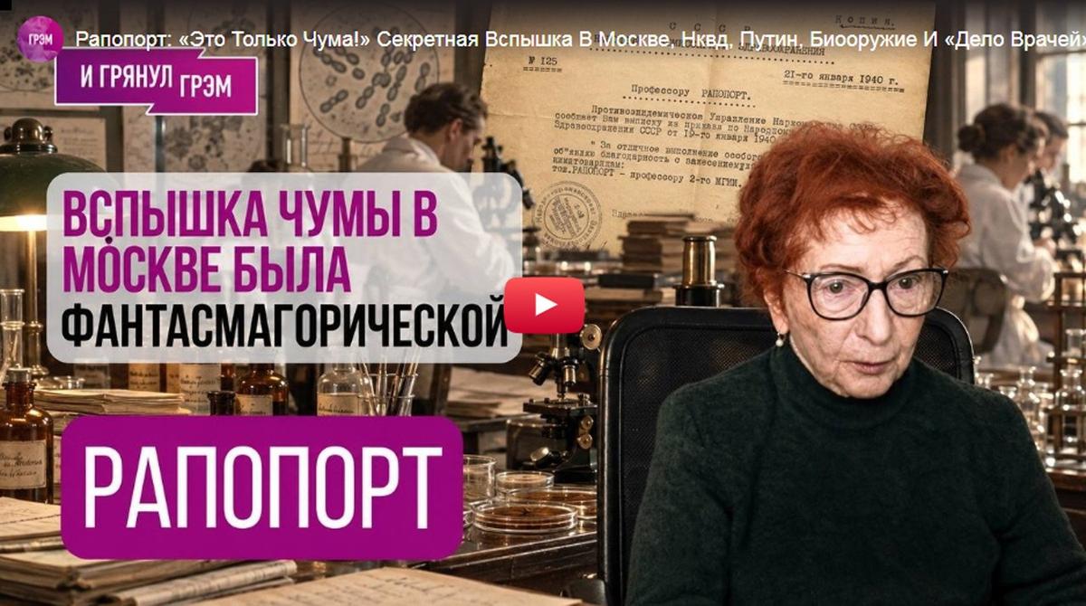 Интервью Натальи Рапопорт каналу «И грянул Грэм». Кадр из видео