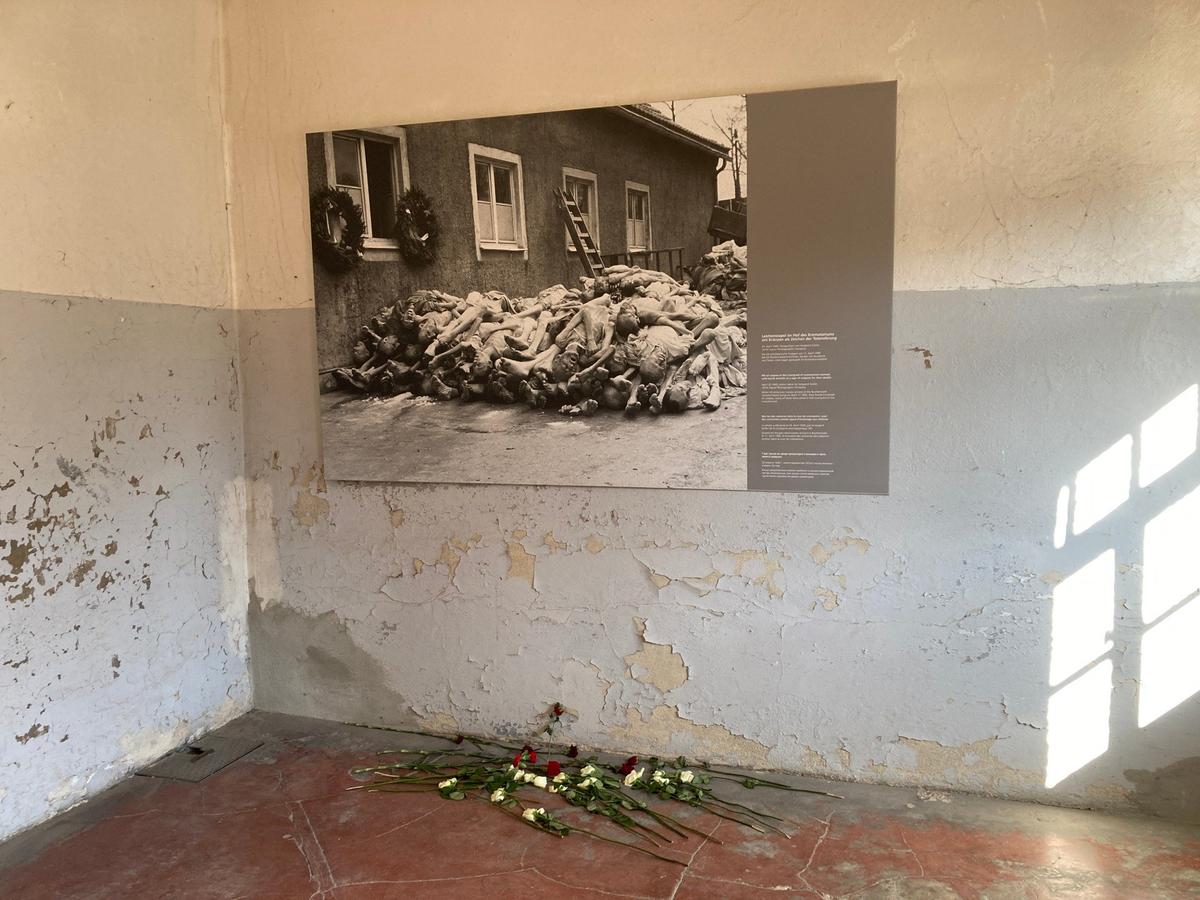 Фото, сделанные американцами в Бухенвальде. Фото: Ирина Тумакова / «Новая газета»