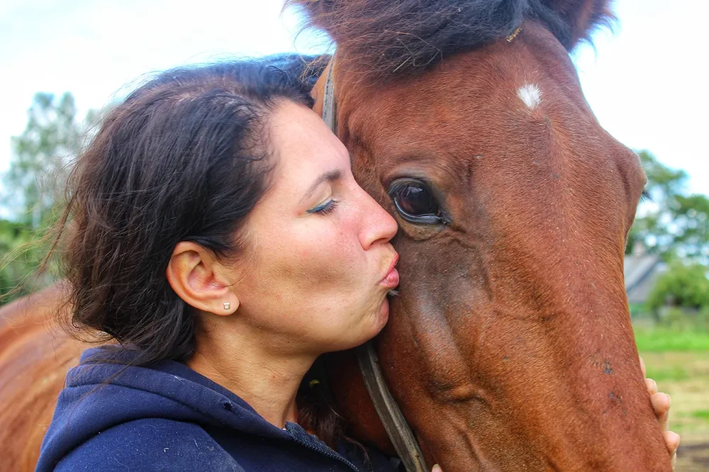 Horse 21. Моей знакомой лошади сегодня 8 лет.