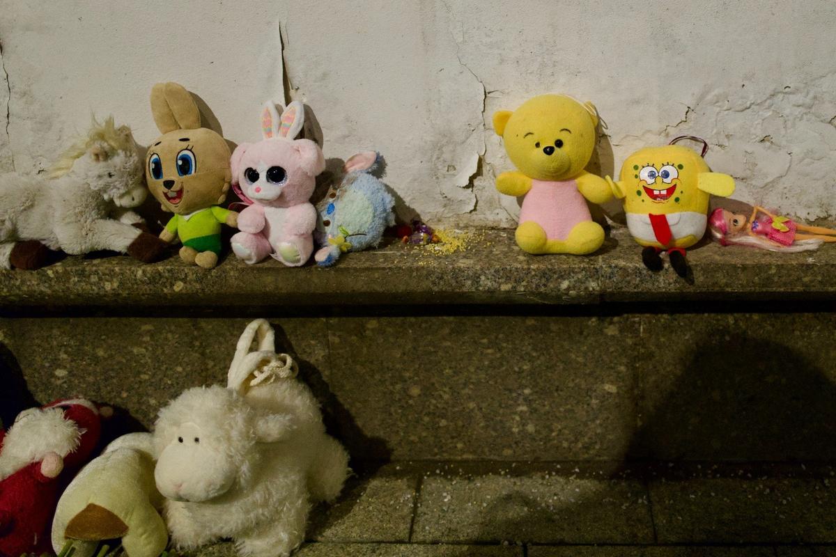 Фото: Даниил Черяпкин