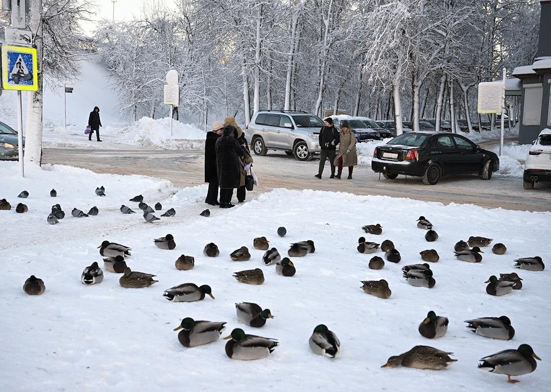 Фото: Евгений Разумный / Коммерсантъ