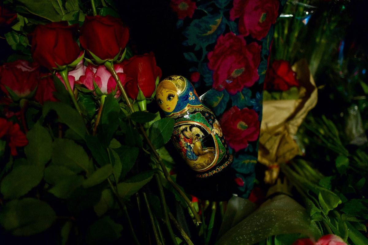 Фото: Даниил Черяпкин