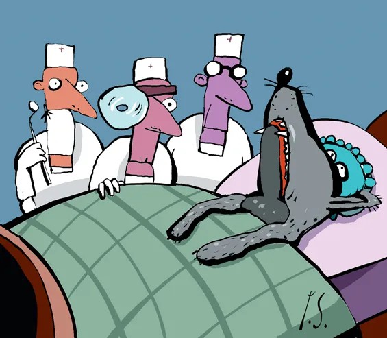 Петр Саруханов — «Новая»