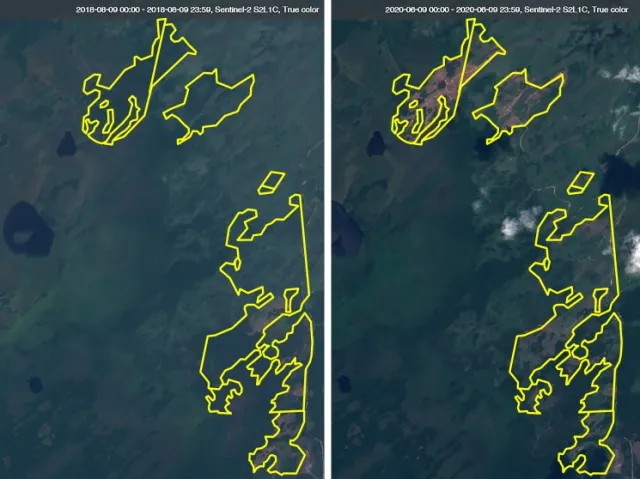 Космические снимки с выделенным участком, где идет вырубка леса. Слева — 2018 год, справа — 2020 год. Google Maps