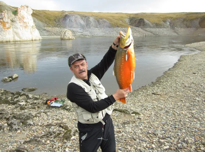 Человек, похожий на Александра Герасименко с рыбой, похожей на арктического гольца, включенного в Красную книгу. На фоне приметных скал, позволяющих установить, что фотография сделана в заповеднике «Таймырский»