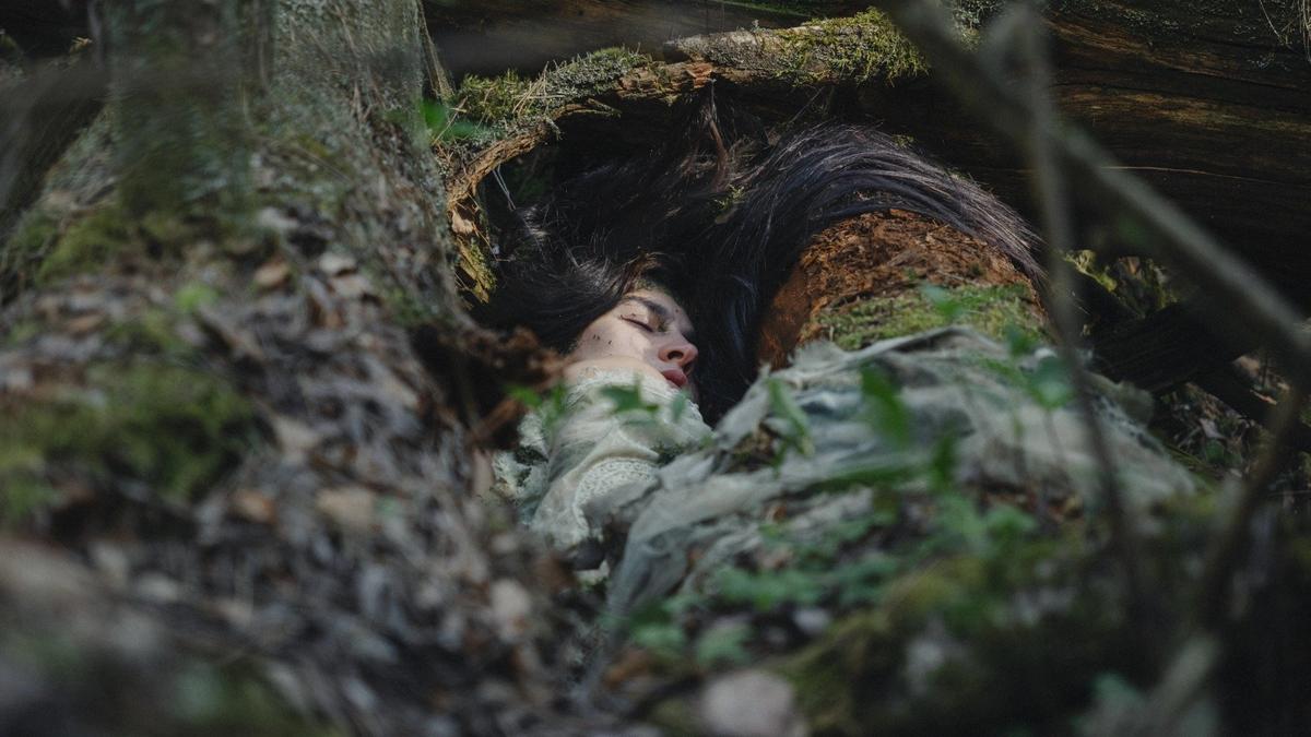 Лес против гаджетов