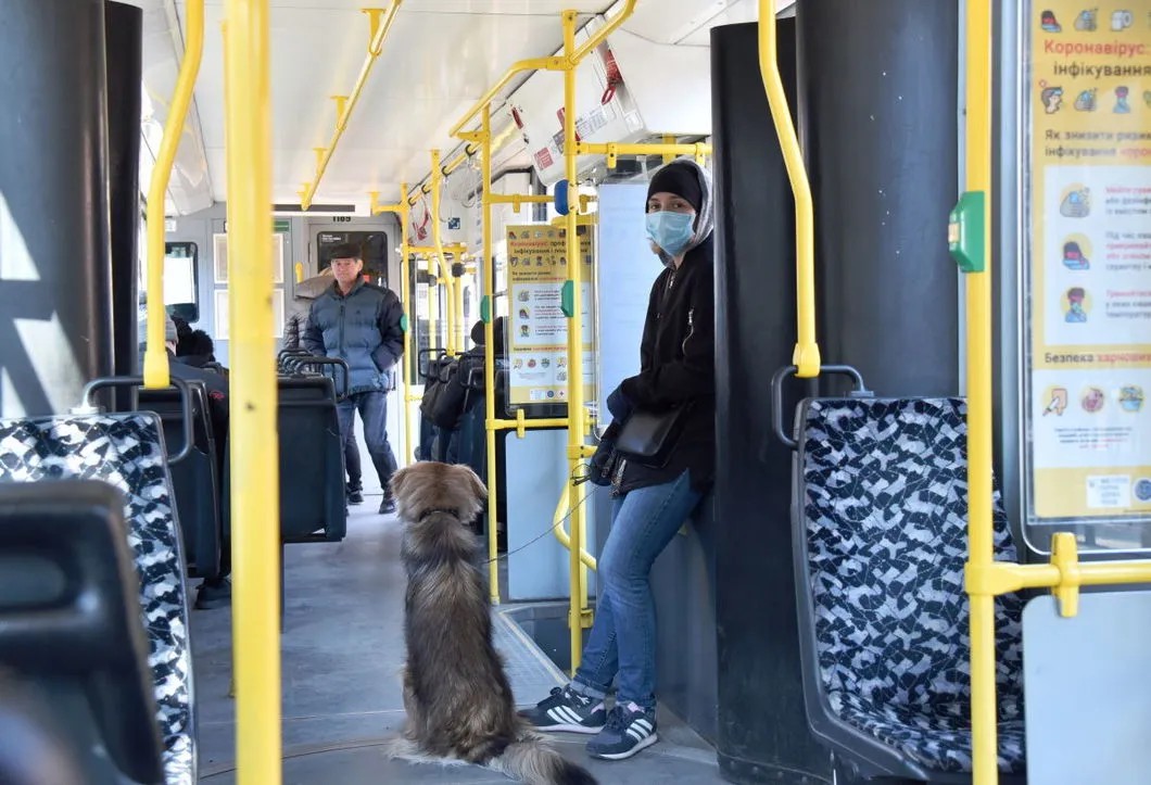 Хозяйка с собакой в общественном транспорте Львова. Фото: РИА Новости