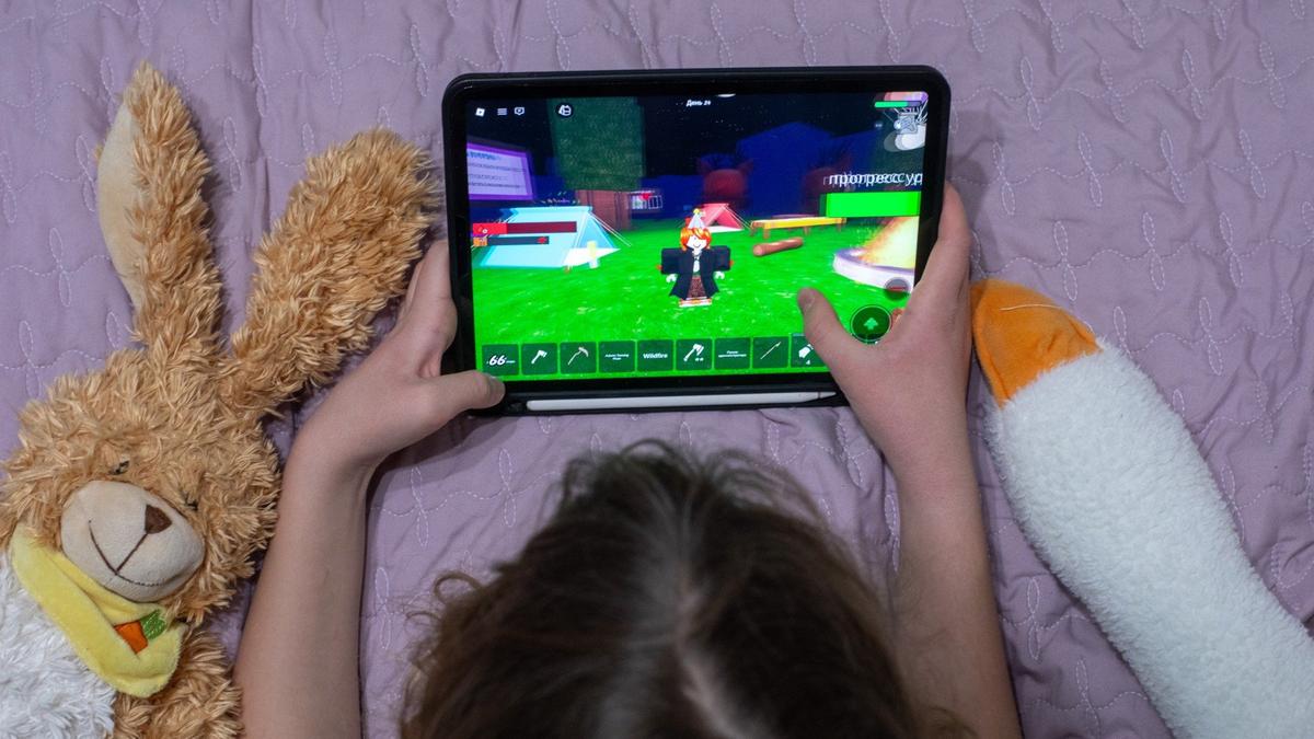 «Роблокс — нежная штучка. Играй, а не блокируй!»