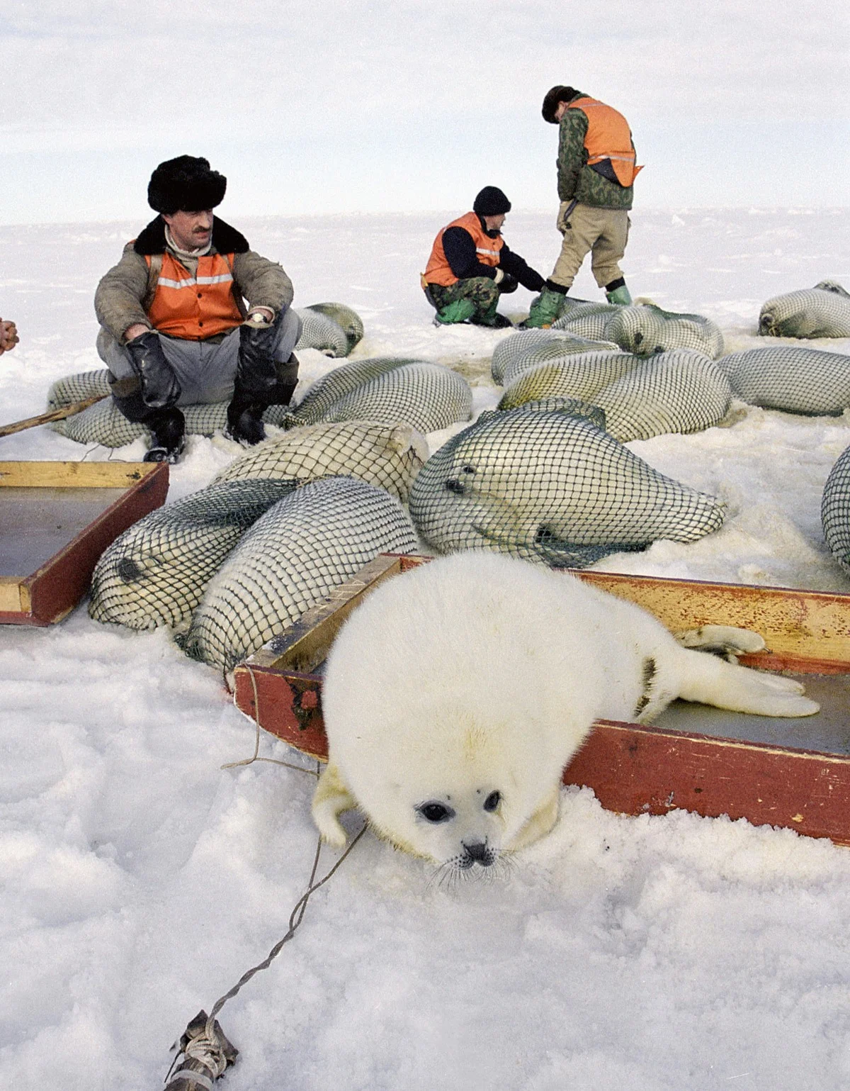 Ленка моншадағы жігіттермен
