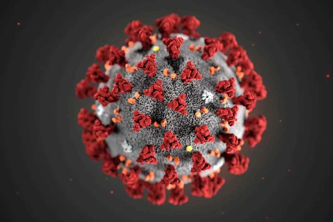 Реконструированная учеными модель коронавируса. Фото: Reuters