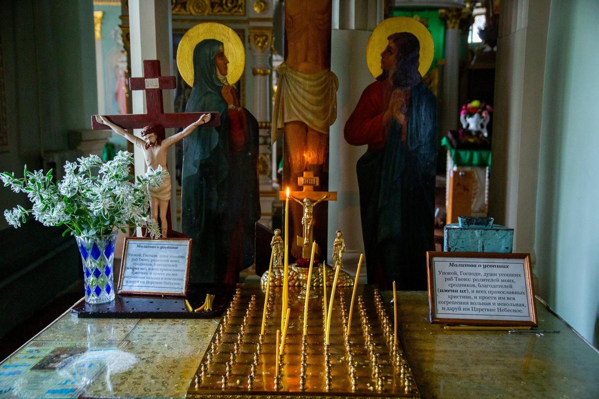 Фото: Алексей Душутин / «Новая газета»