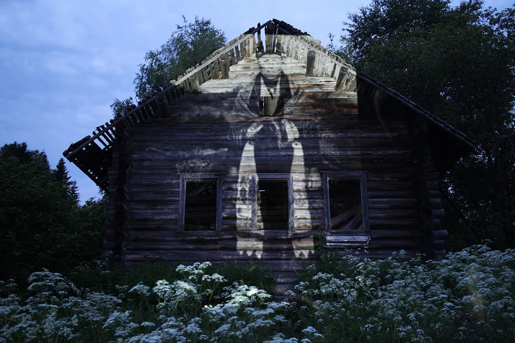 Фото Евгения Молодцова, из серии «Вепсский лес».  Проект полностью